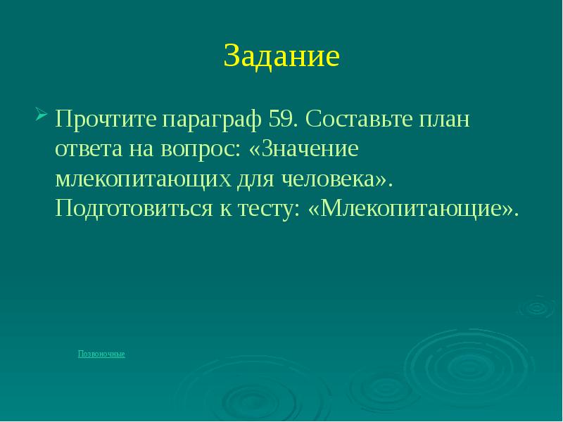 Экологические группы млекопитающих значение млекопитающих для человека презентация