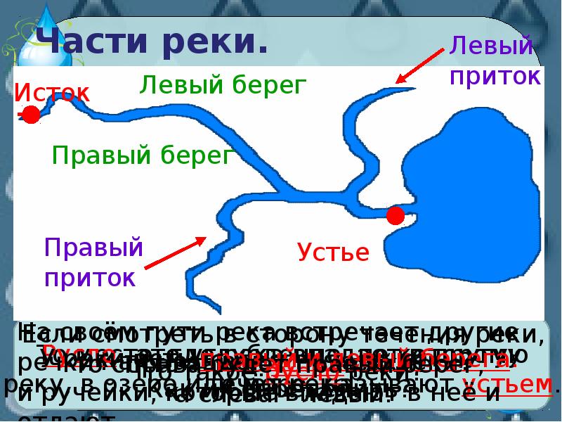 Берег реки карта. Исток Устье правый берег левый берег. Правый и левый приток. Левый приток реки. Правый приток реки.