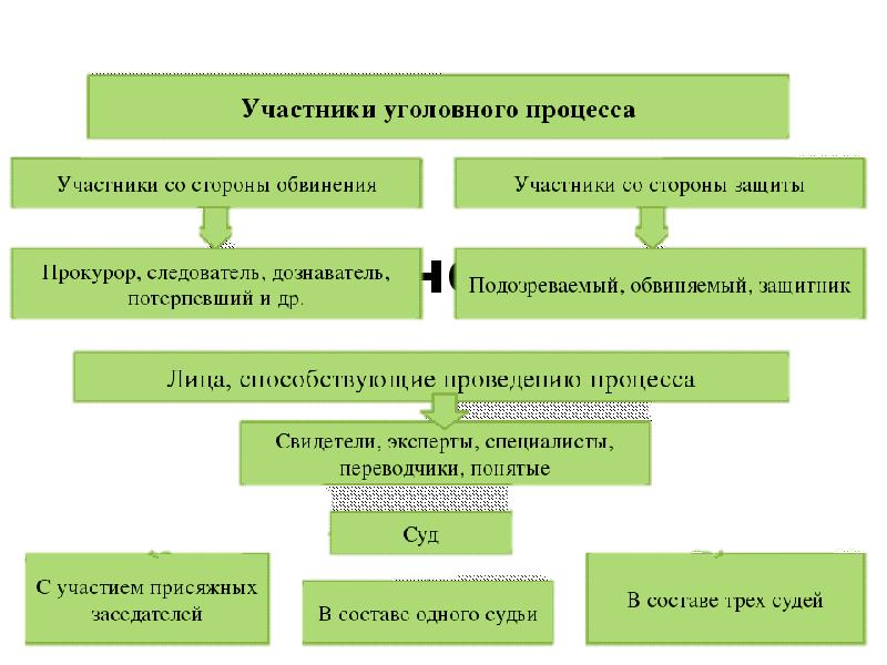 Урок процессуальные отрасли права 10 класс боголюбов презентация