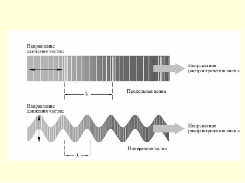 Продольные и поперечные волны картинки