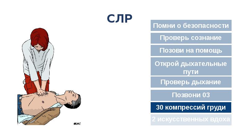 Слр картинки для презентации