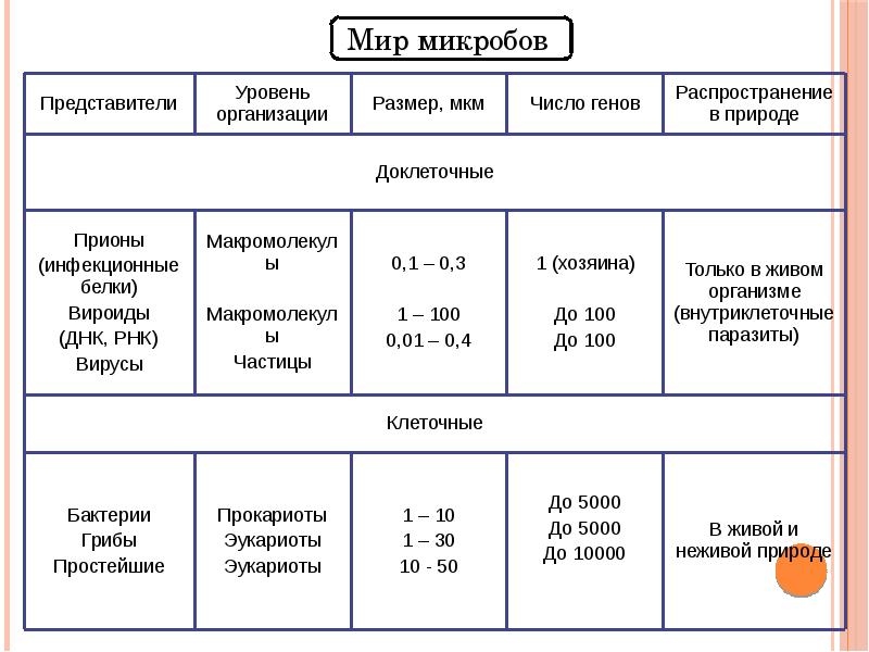 Частная микология презентация