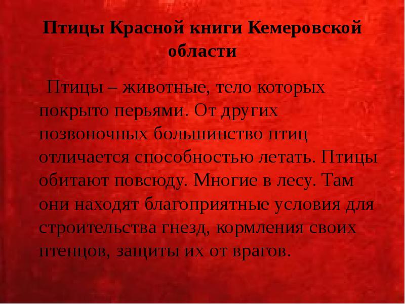 Птицы Красной книги Кемеровской области   Птицы – животные, тело