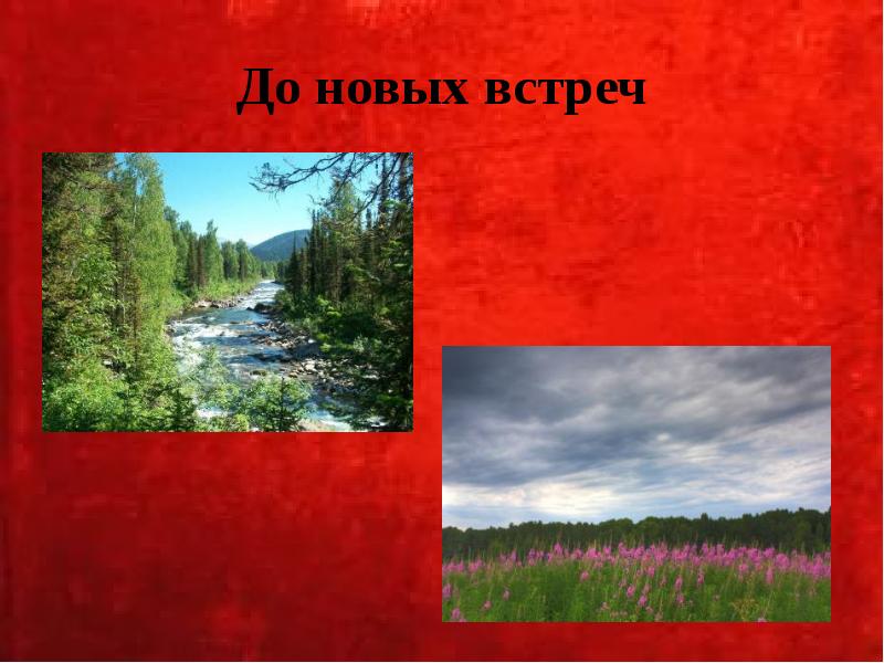 До новых встреч