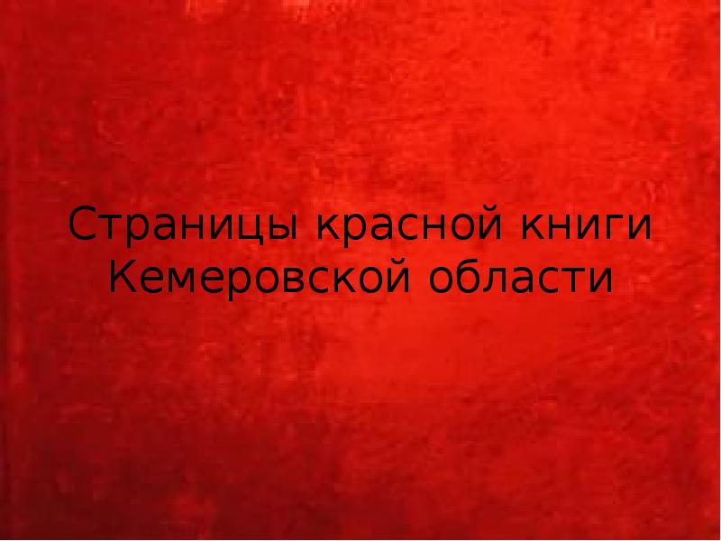 Страницы красной книги Кемеровской области