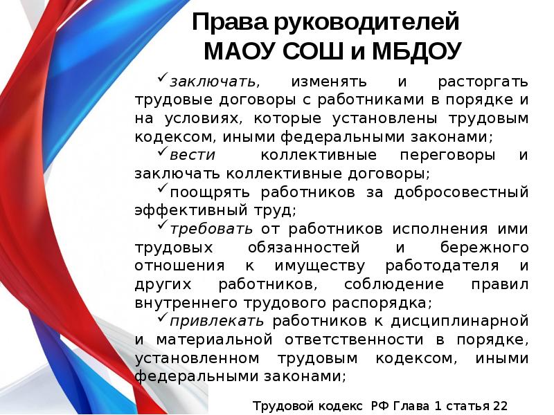 Руководитель имеет право. Права руководителя. Права директора. Права управленца. Все руководство прав.