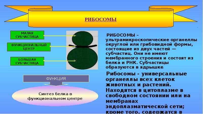 Форма состоящая