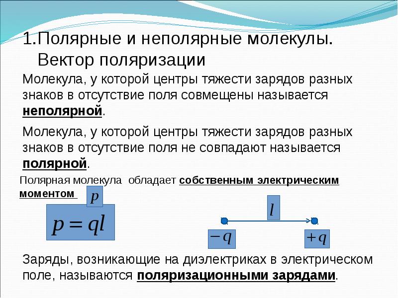 Полярные и неполярные аминокислоты. Полярные и неполярные аминокислоты