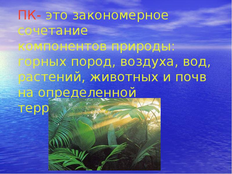 Что отличает почву от горной природы. Природные комплексы. Водные природные комплексы. Компоненты природного комплекса. Природный комплекс воздуха.