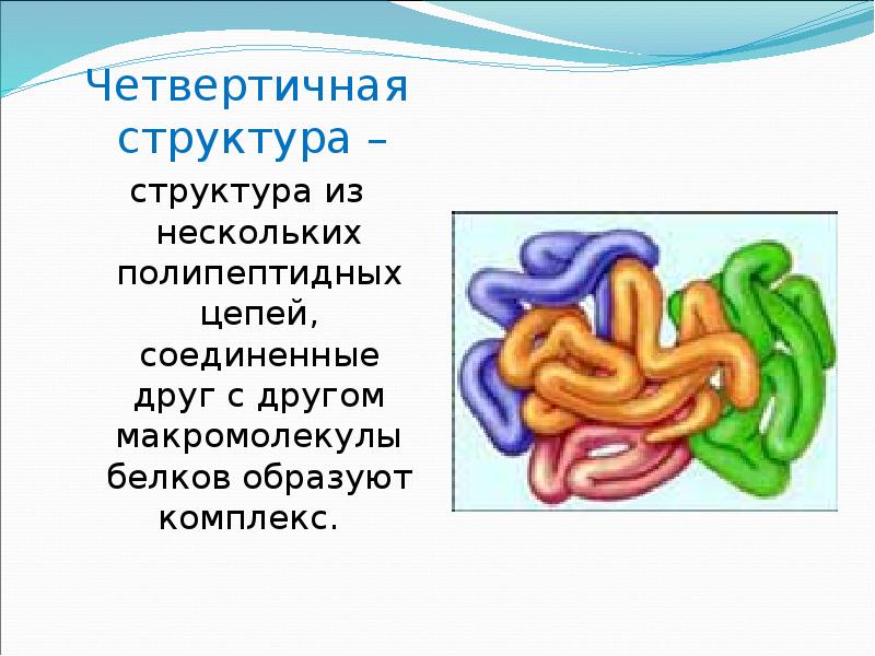 Четвертичная структура. Четвертичная структура белка формула. Четвертичная структура белков формула. Четвертичная структура аминокислот.