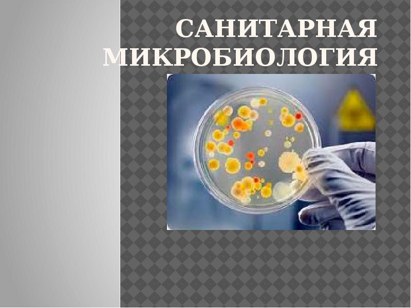 Микробиология продуктов питания презентация