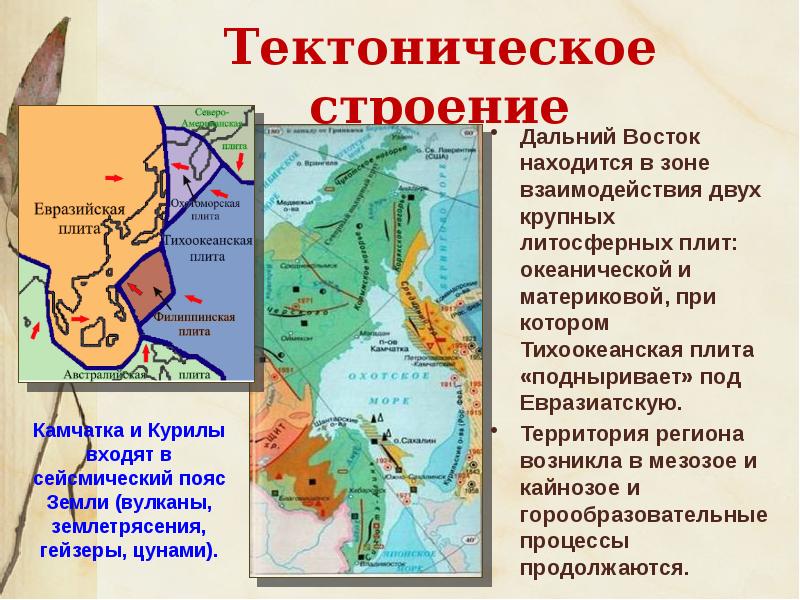 Тип геологической структуры дальнего востока