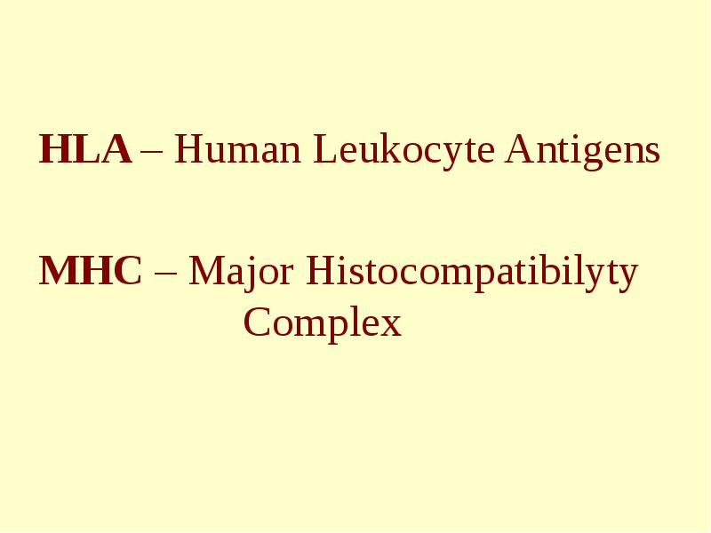 HLA – Human Leukocyte Antigens MHC – Major Histocompatibilyty  