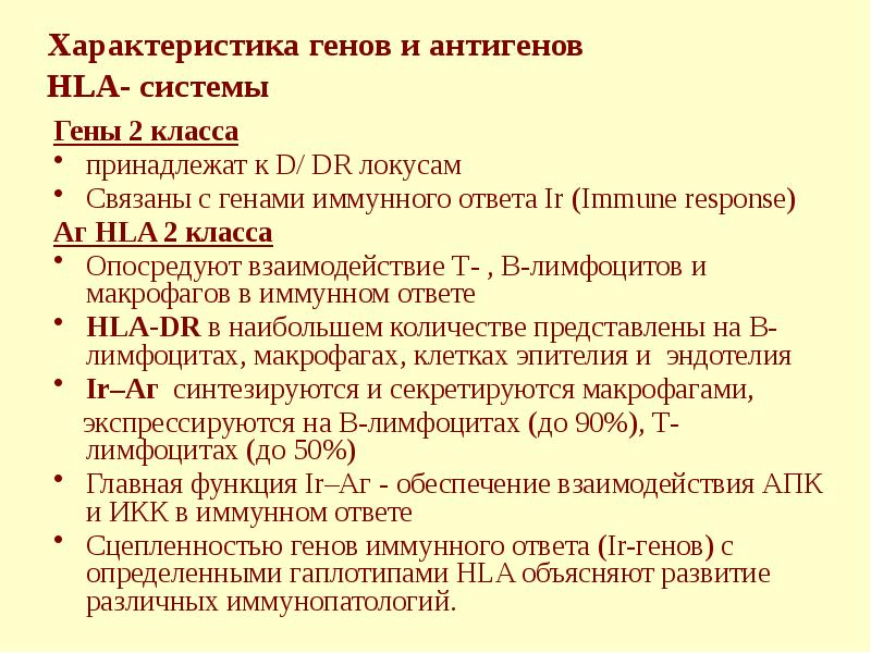 Характеристика генов и антигенов HLA- системы Гены 2 класса  принадлежат