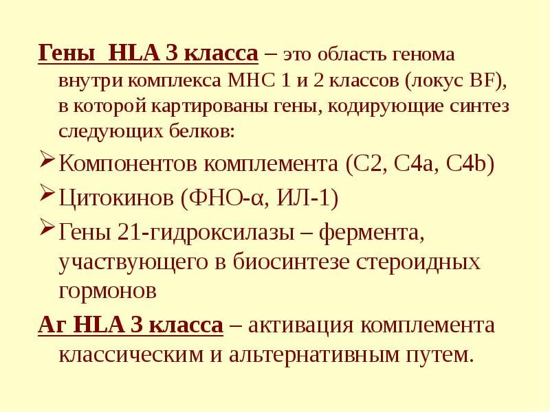 Гены НLA 3 класса – это область генома внутри комплекса MHC