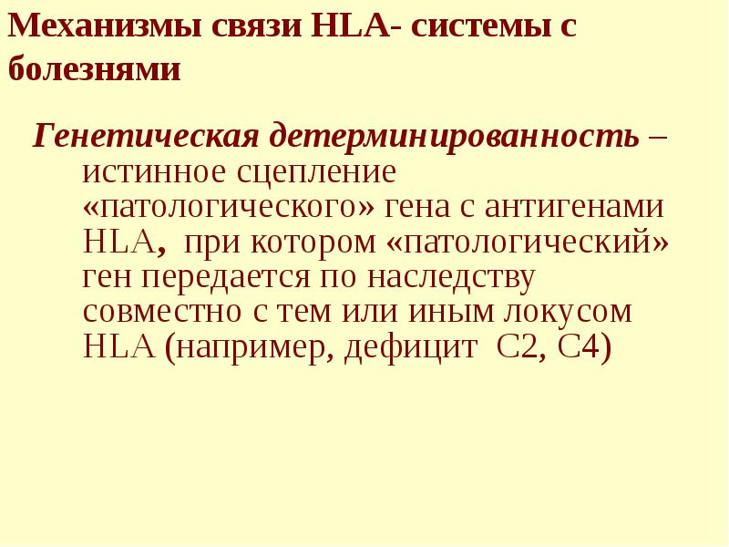 Механизмы связи HLA- системы с болезнями Генетическая детерминированность – истинное сцепление