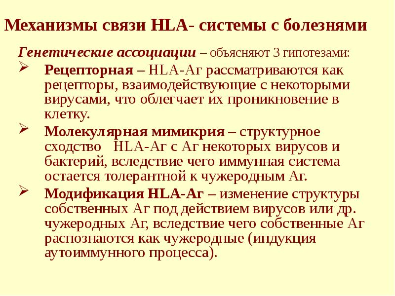 Механизмы связи HLA- системы с болезнями Генетические ассоциации – объясняют 3