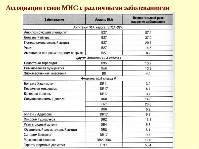 Ассоциация генов МНС с различными заболеваниями