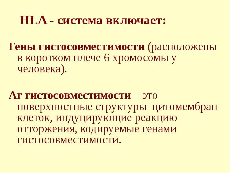 HLA - система включает: Гены гистосовместимости (расположены в коротком плече 6