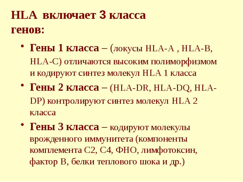 HLA включает 3 класса  генов: Гены 1 класса – (локусы