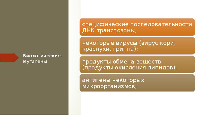 Под воздействием мутагенных факторов во фрагменте гена цат таг гта цгт тцг произошла замена