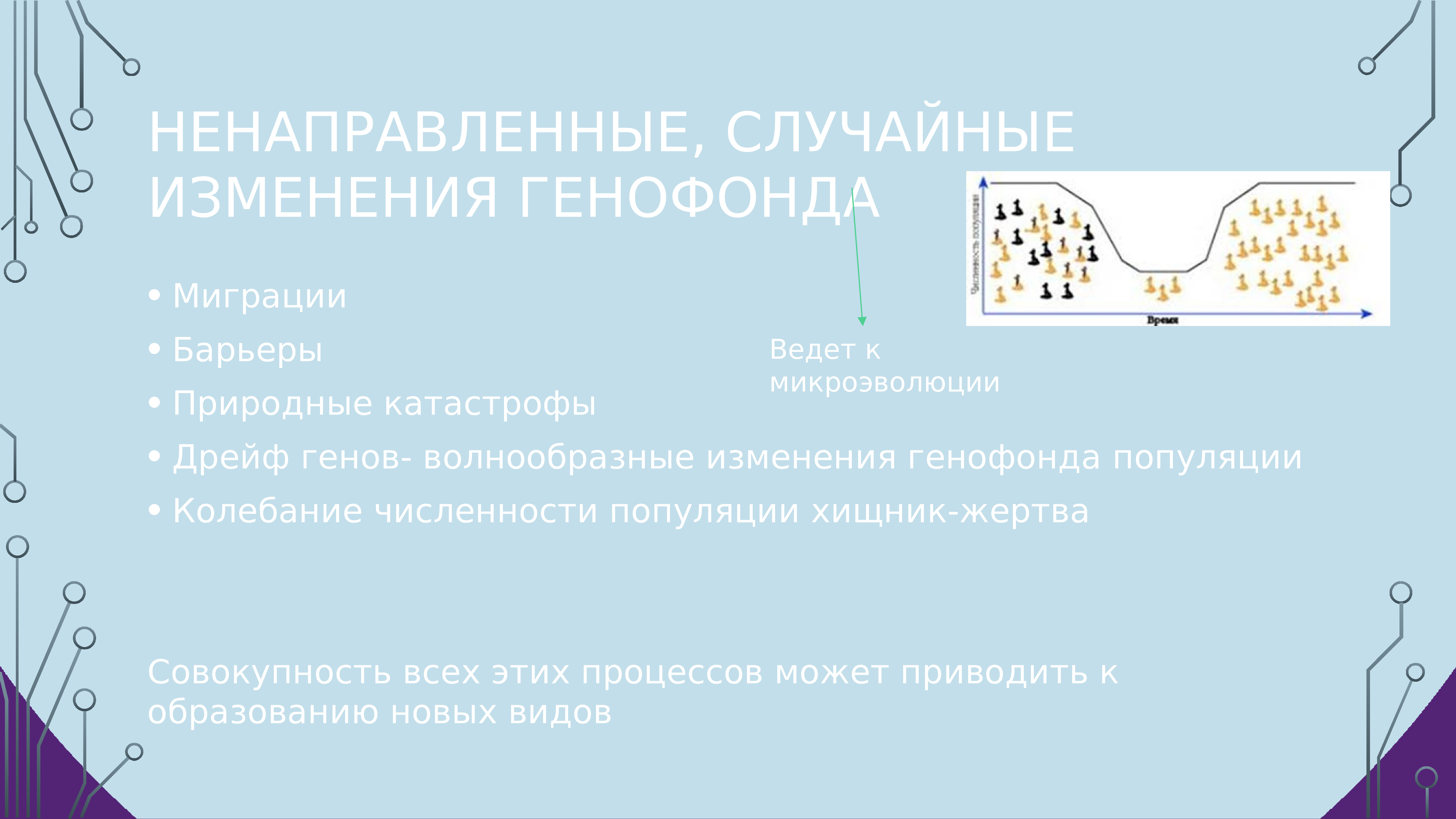 Генетика популяции презентация