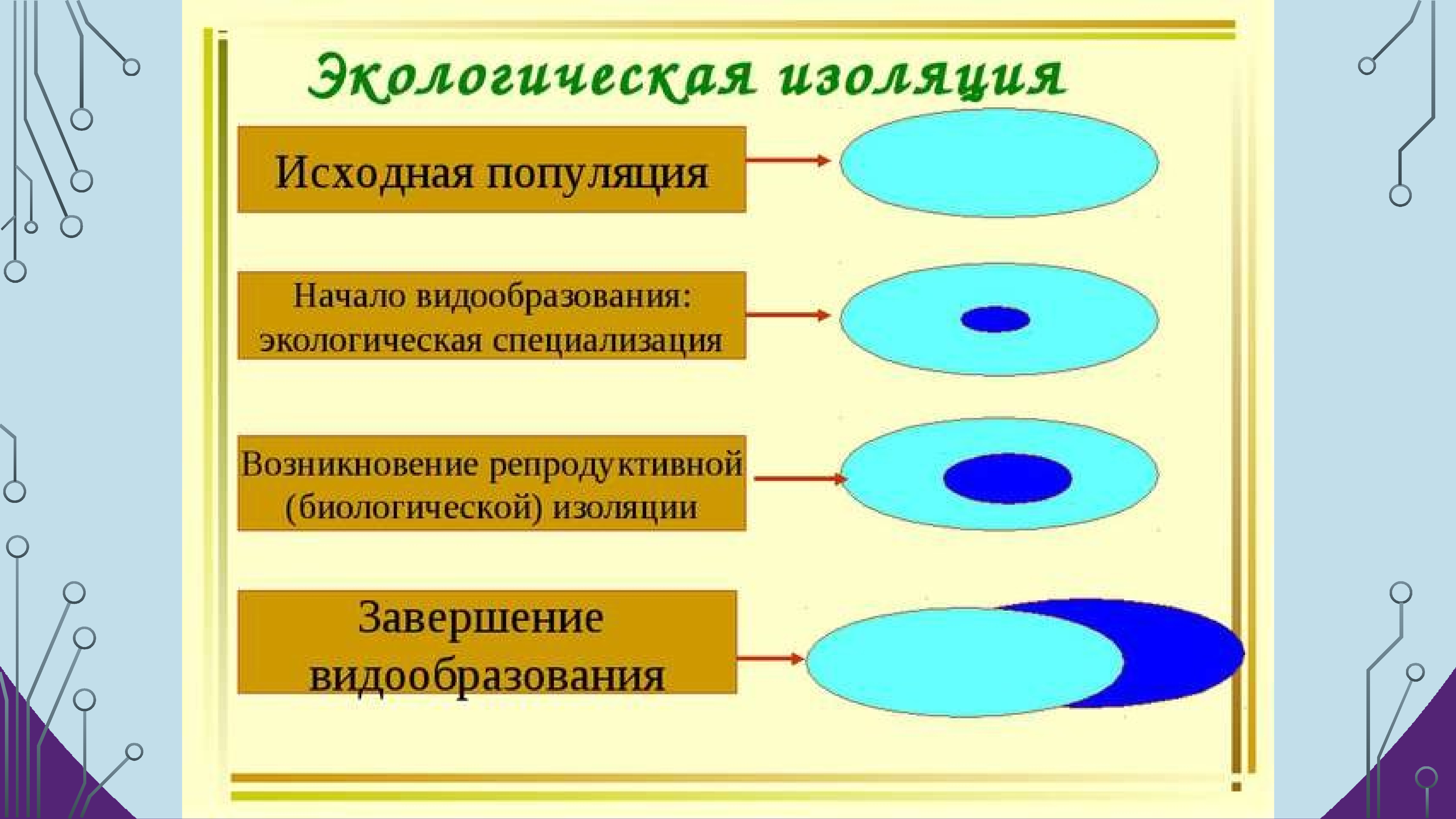 Генетика популяций презентация