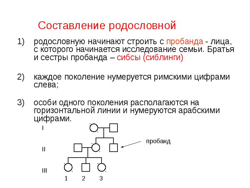 Сибсы в генетике