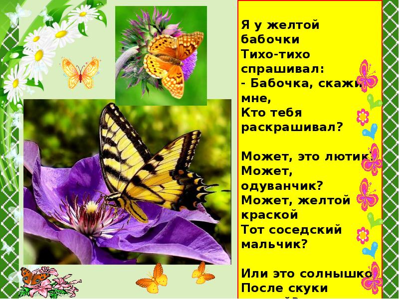 Почему бабочки такие разные и красивые. Я У желтой бабочки тихо. Бабочка Автор. Рассказ «летающие цветы. Бабочка кто Автор.