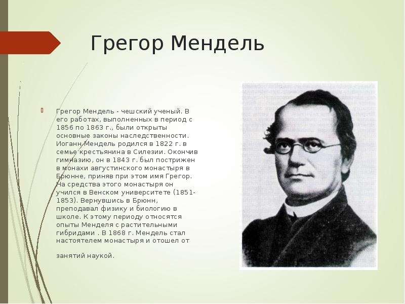 Отец генетики грегор иоганн мендель проект 11 класс