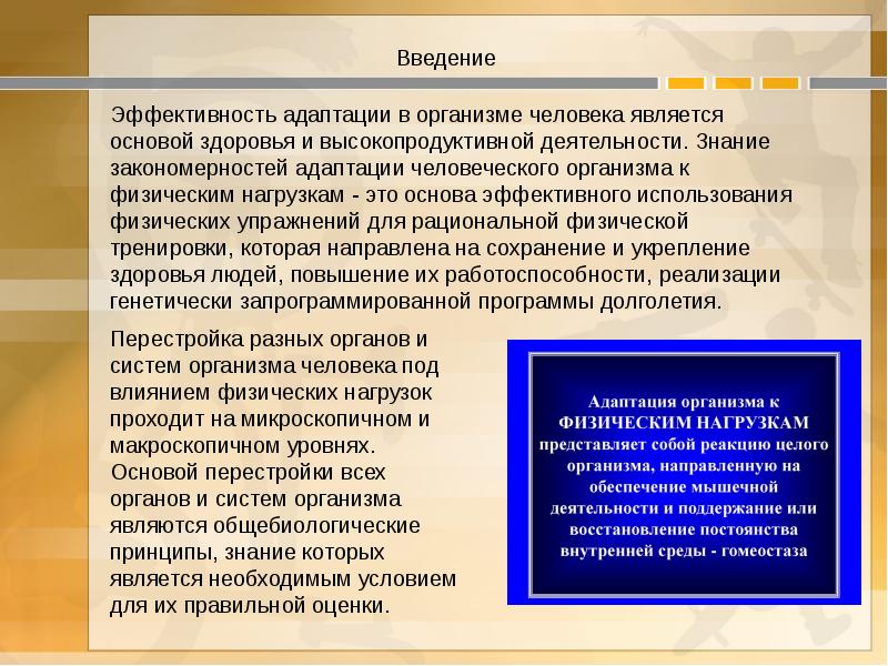 Презентация на тему адаптации человеческого организма к физическим нагрузкам