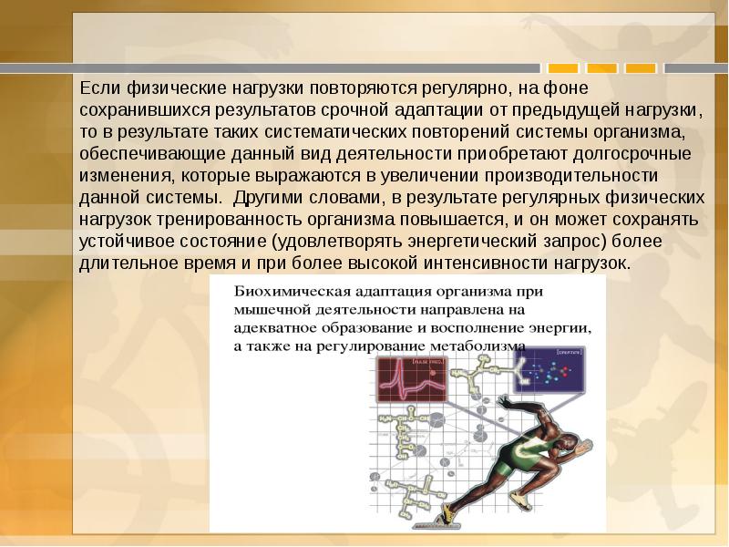 Презентация на тему адаптации человеческого организма к физическим нагрузкам