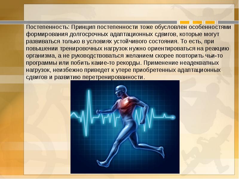 Презентация на тему адаптации человеческого организма к физическим нагрузкам