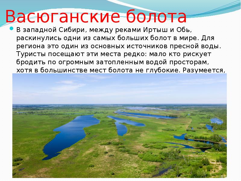 Самое большое болото новосибирской области. Васюганские болота заповедник. Васюганские болота, Сибирь. Васюганские болота, Западная Сибирь. Площадь Васюганских болот.