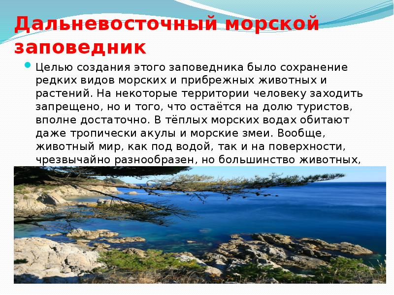 Дальневосточный морской заповедник презентация