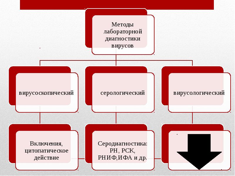 Методы исследования: