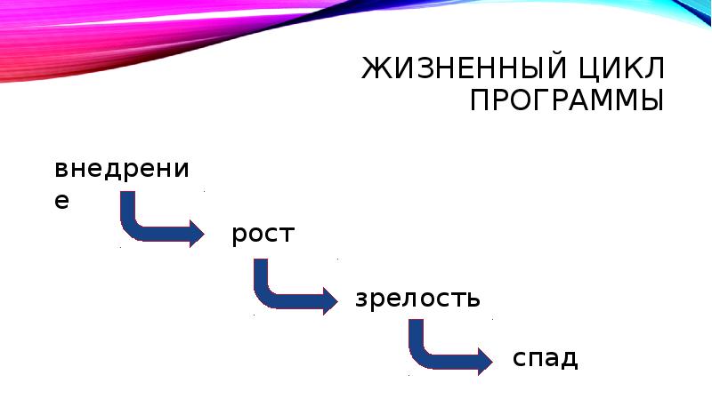 Жизненный цикл программы