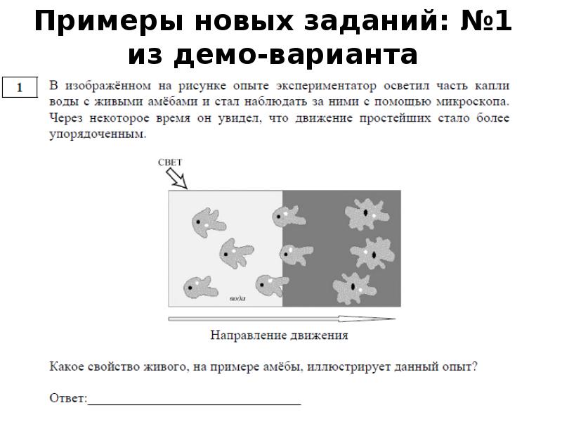 В изображенном на рисунке опыте экспериментатор осветил под микроскопом часть капли воды с живыми