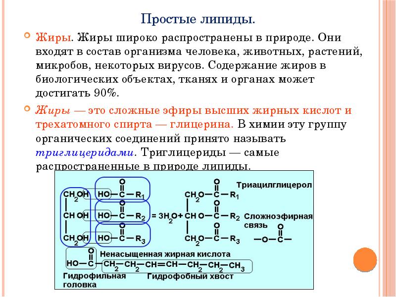 Состав вещества жиры. Строение полимеров жиров. Структура простых липидов. Формула нейтральных жиров липидов. Структура сложных липидов.