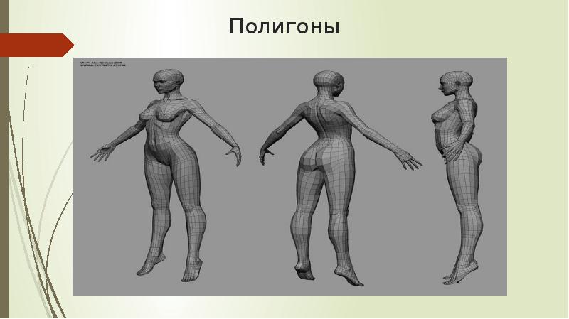 Ароморфозы кольчатых червей червей. Расчленение в играх доклад на тему. Расчленение тела на равные сегменты. Препарирование анатомия. Расчленение тела на равные сегменты.