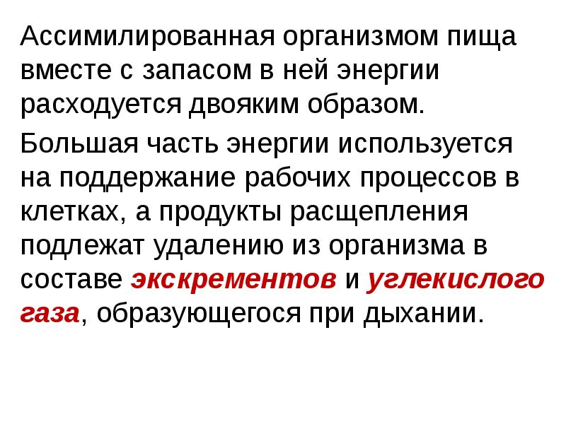 Потоки вещества и энергии в экосистеме презентация