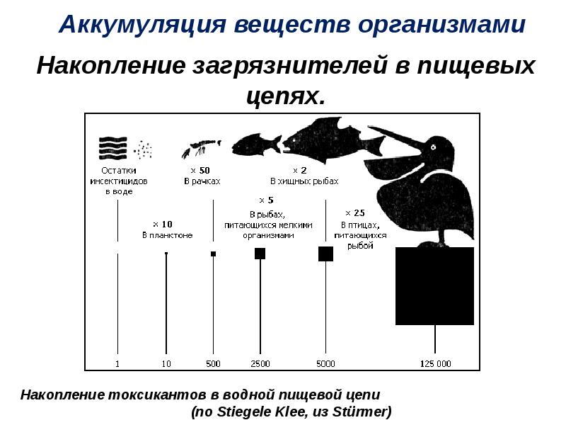 Потоки вещества и энергии в экосистеме презентация