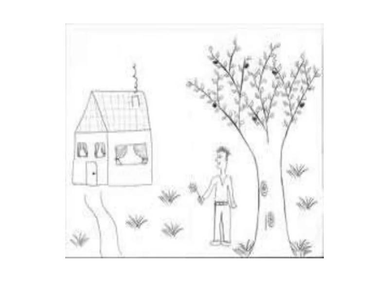 Дом-Дерево-Человек» ( Дж.Бук ) - презентация, доклад, проект