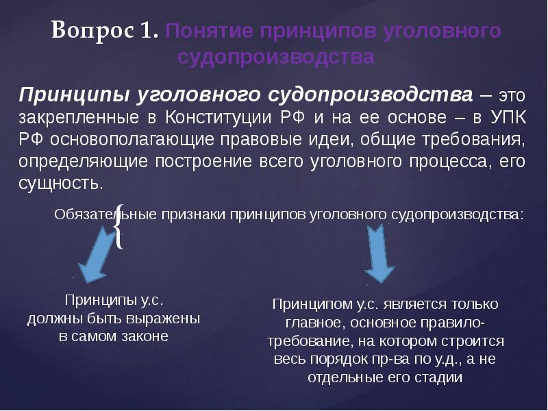 Принципы уголовного судопроизводства презентация