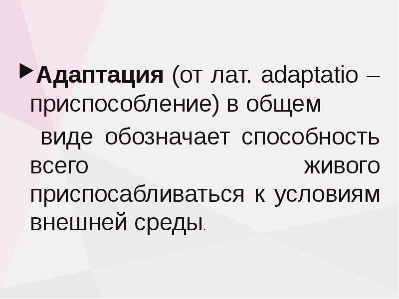 Индивидуальная адаптация это