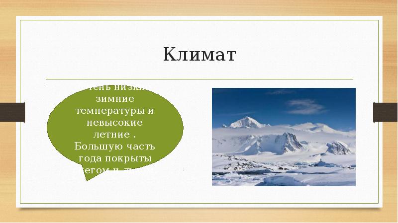 Растительный и животный мир умеренных поясов 5 класс презентация