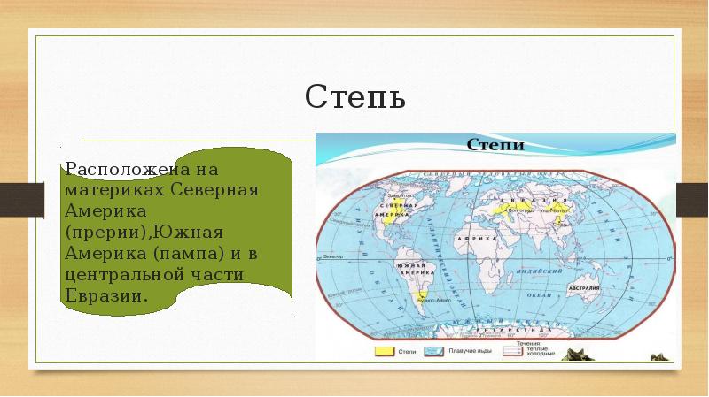 Все материки расположены в х одинаковых поясах. Карта степи на материках. Положение степи на материке. Степь на континентах. На каких материках расположена степь.