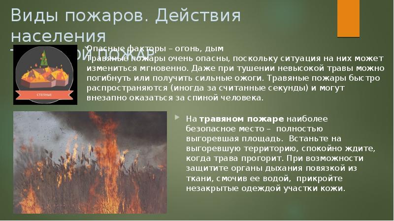 Действия населения при лесных пожарах. Виды пожаров. Пожар виды пожаров. Пожары действия населения. Наиболее опасный вид пожара.