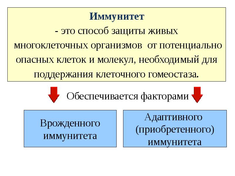 Чем обеспечивается иммунитет. Понятие о врожденном иммунитете. факторы адаптивного иммунитета. понятие об адаптивном иммунитете. иммунитет - это способ защиты организма от:.