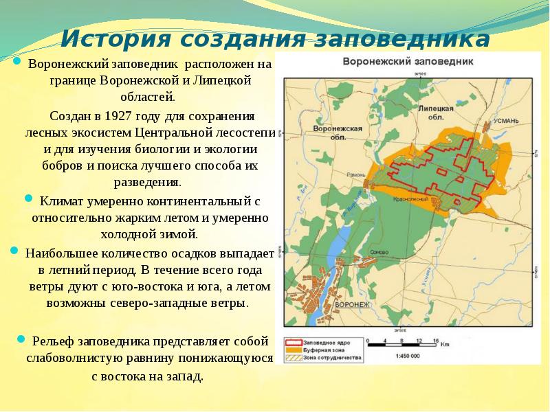 Заповедники воронежской области презентация